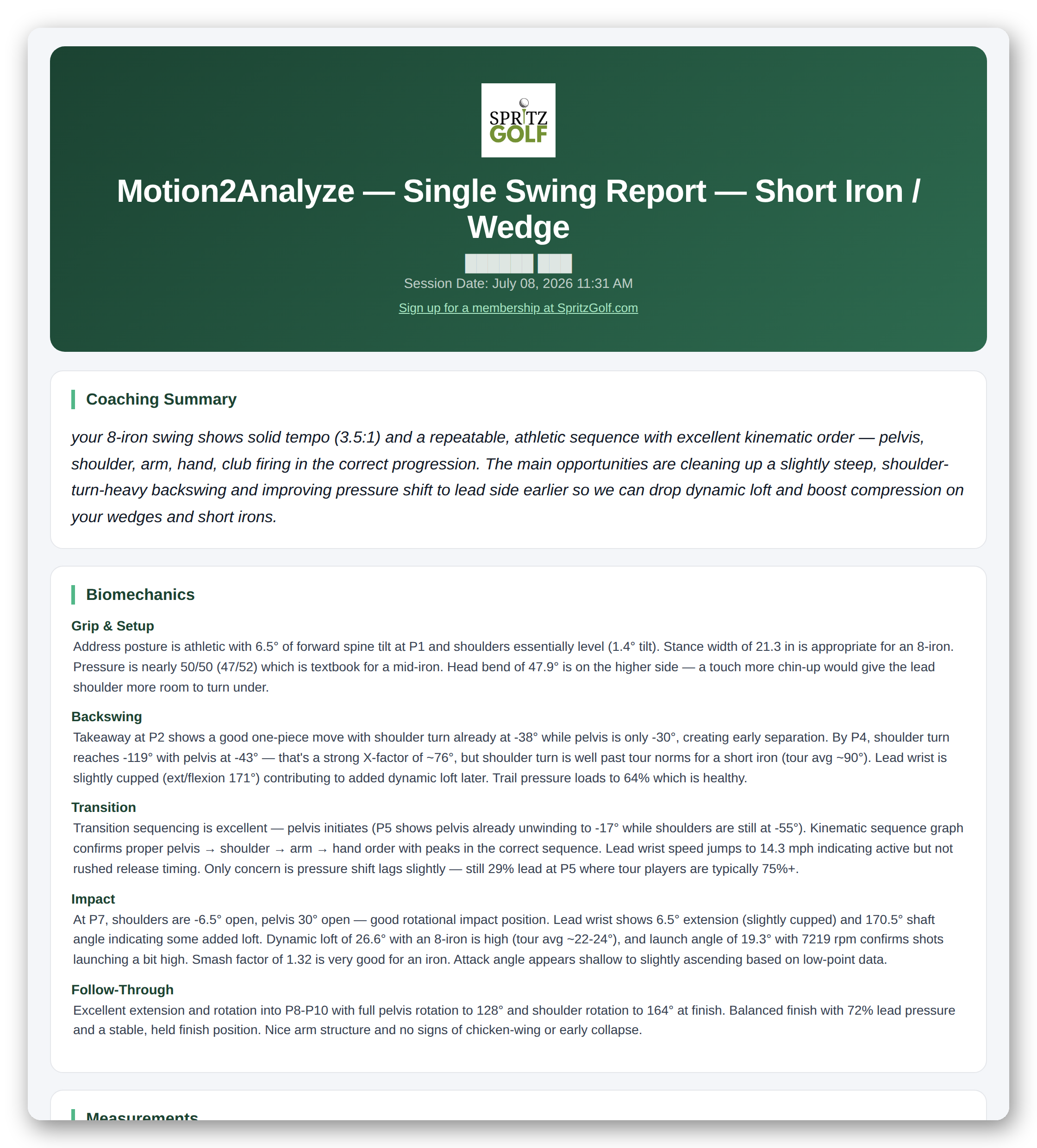 Sample AI Swing Analysis report